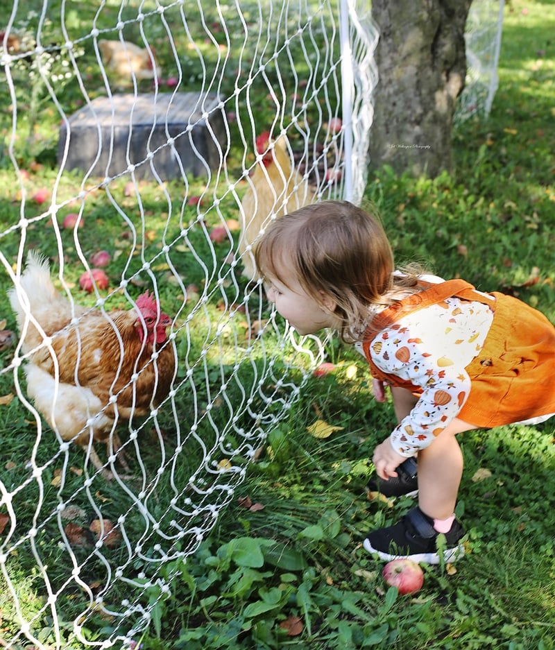 Organic Farm Visits